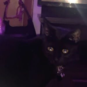 Meet your Posher, Debbie